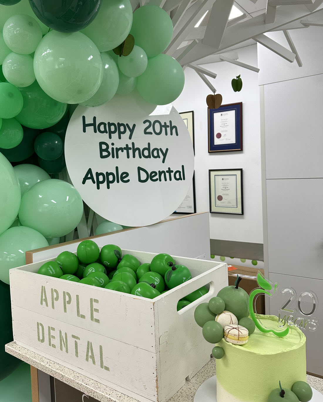 Celebrating 20 years as a dentist in Newstead